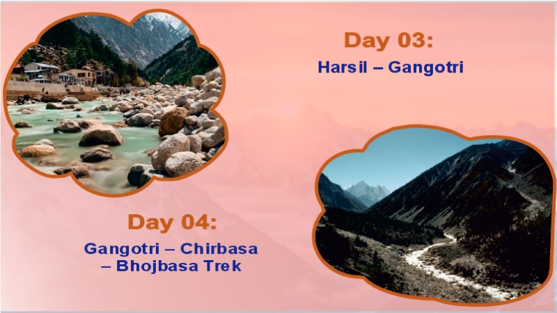 Gangotri Gaumukh Trek